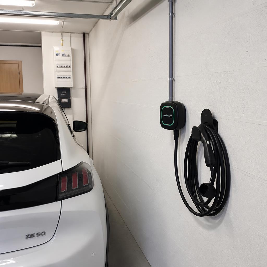 Installation Smart Ecowatt 2